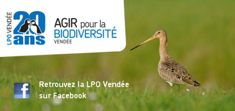 La LPO Vendée sur facebook
