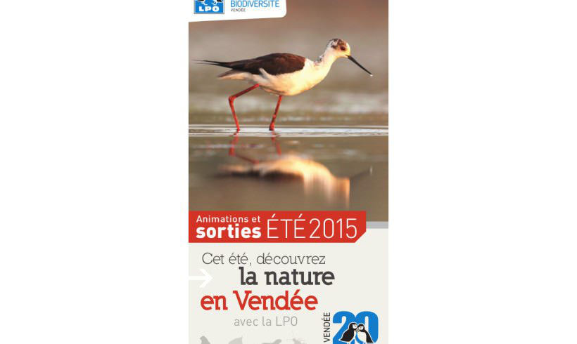 Supplément estival du guide des sorties