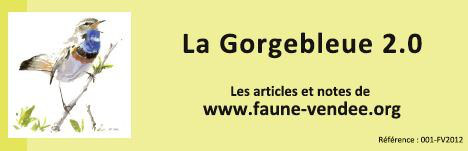 La Gorgebleue 2.0 - articles scientifiques de la LPO Vendée publiés en ligne