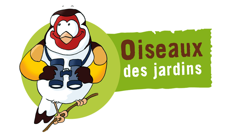 30 & 31 janvier 2016 : Comptage national “Oiseaux des jardins”