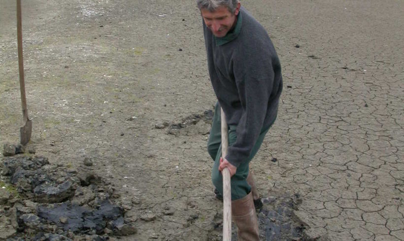 Maurice Poissonnet, un joyeux drille au service de la protection de la nature !