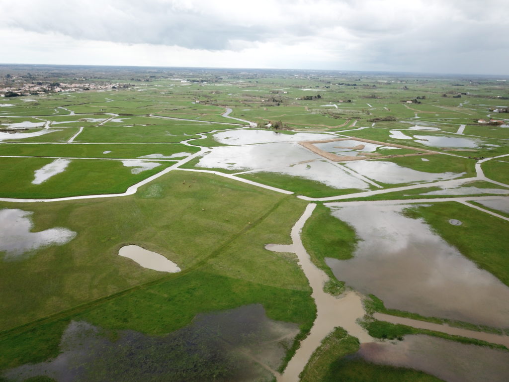 Vue aérienne des prairies de la Ferme des Cochets © Julien Sudraud