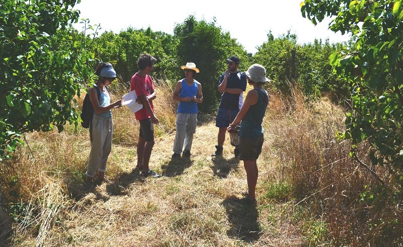 Dialogue Permanent pour la Nature