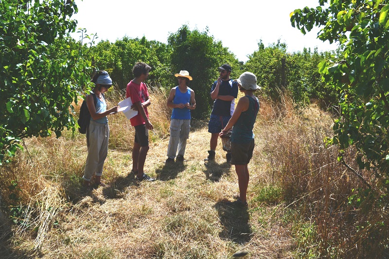 Dialogue Permanent pour la Nature - Temps d'échange à la ferme des Ores (juillet 2020) Photo © Hélène Phan