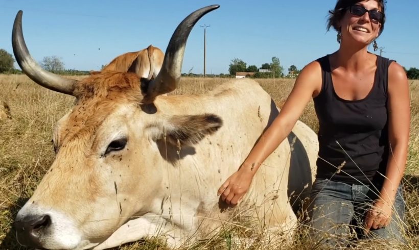 Lucie Maritaud, paysanne de nature en Marais breton