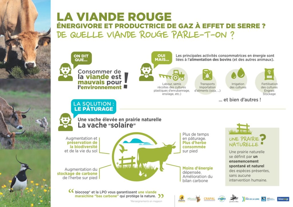 Le pâturage : une vraie solution apportée par la micro-filière biodiversités maraîchines