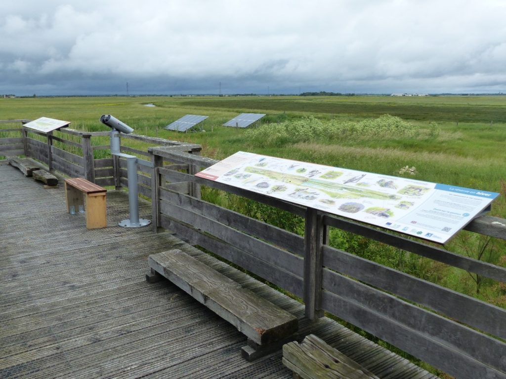 Observatoire de la RNR Marais de la Vacherie - Photo © Steve Moneuse