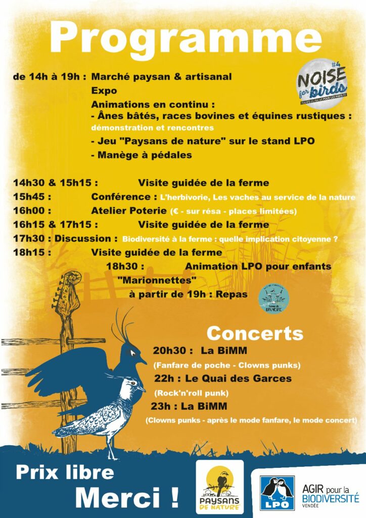 Noise for birds #4 Samedi 21 août 2021 Programme