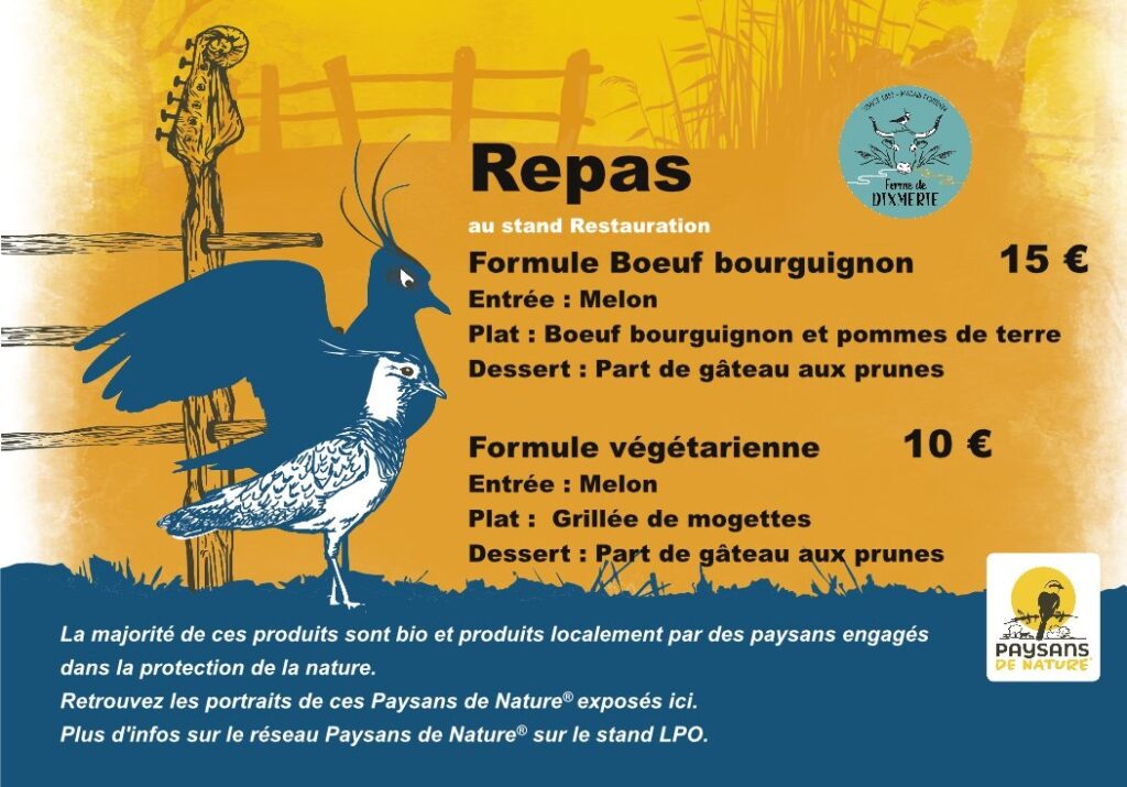 Noise for birds #4 Samedi 21 août 2021