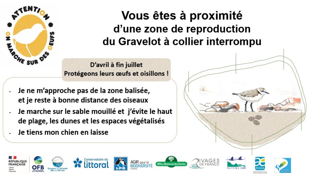Panneau de l'opération "On marche sur des œufs" pour sensibiliser à la protection du gravelot à collier interrompu
