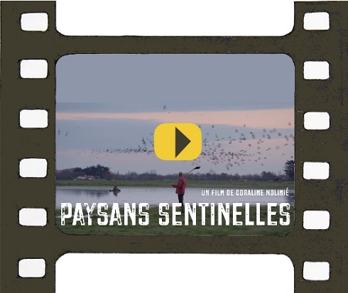 Rediffusion du film documentaire “Paysans sentinelles”