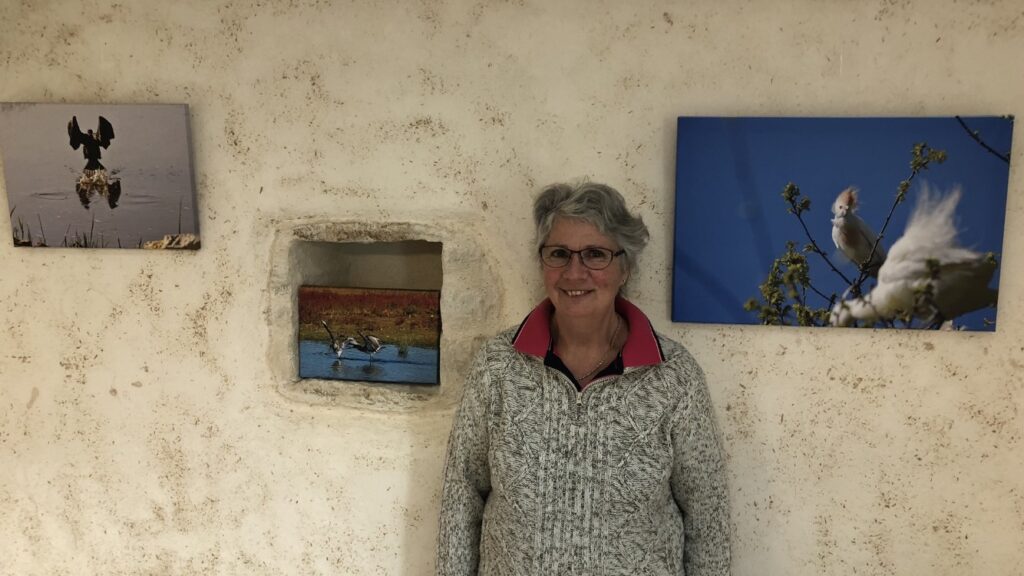 Expo Rnr Marais De La Vacherie