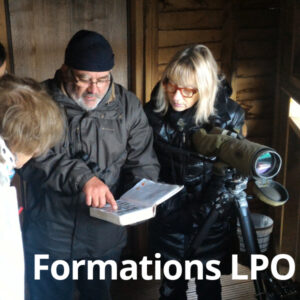 Formations Lpo