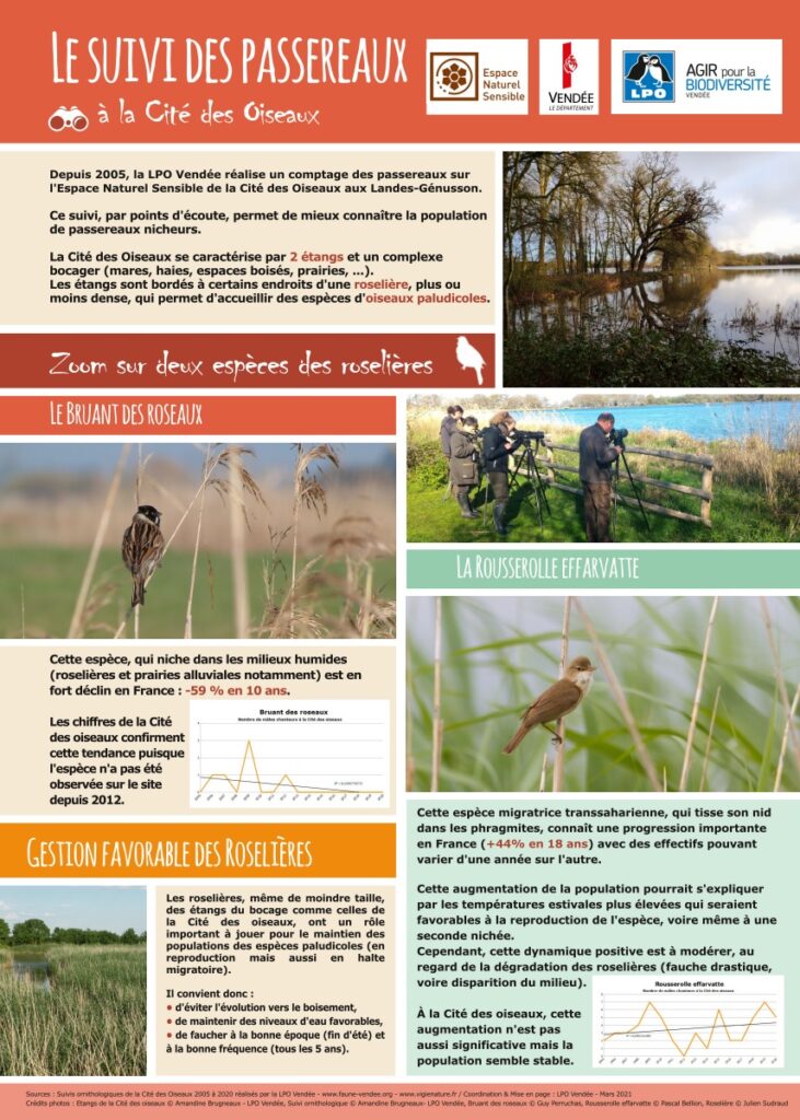 2020 Cd85 Cite Des Oiseaux Passereaux Paludicoles Vf