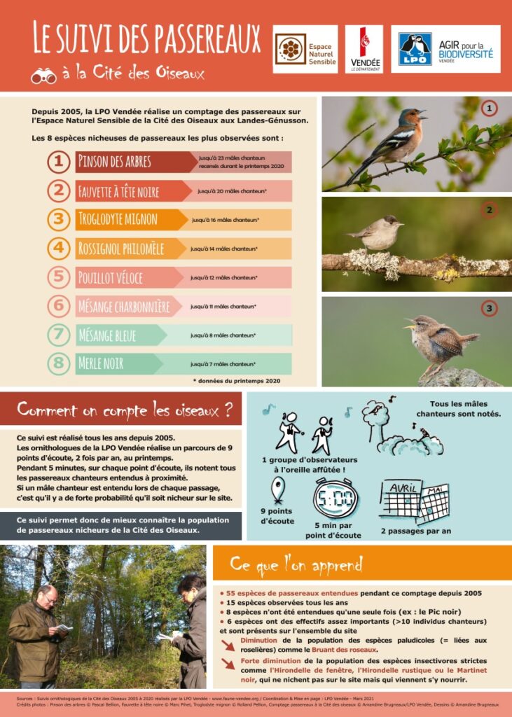 2020 Cd85 Cite Des Oiseaux Suivi Passereaux Vf