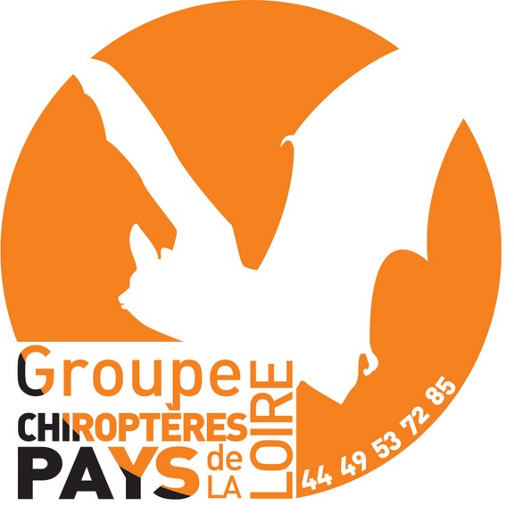 Groupe Chiroptères Pays de la Loire