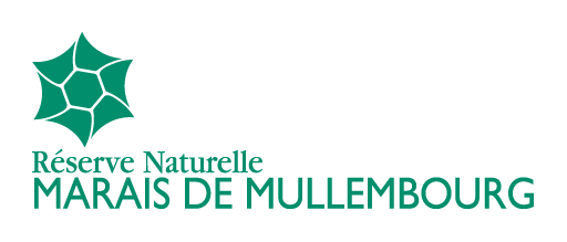 Réserve Naturelle Nationale Marais du Müllembourg (Noirmoutier-en-L'Ile)