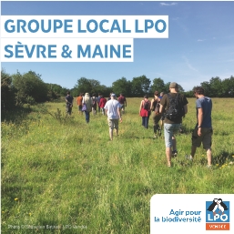 Groupe local LPO Sèvre et Maine