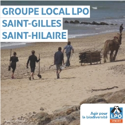 Groupe local LPO Saint-Gilles – Saint Hilaire de Riez