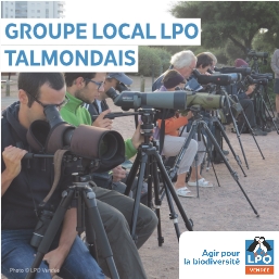 Groupe local LPO Talmont-St-Hilaire