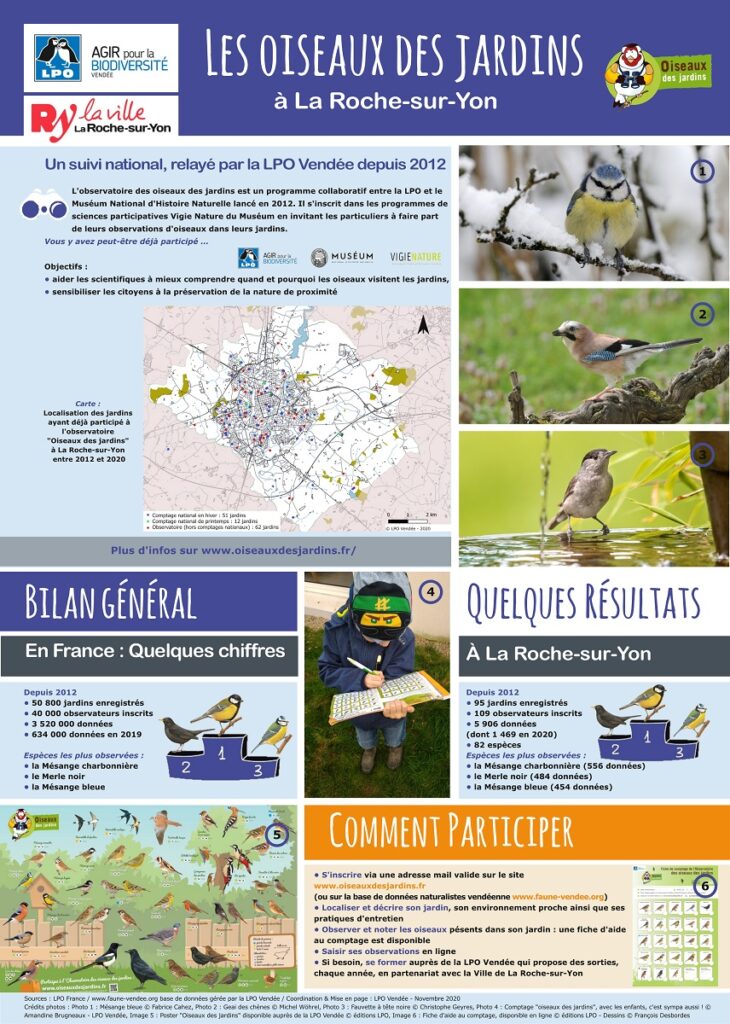 Comptage Oiseaux des jardins à La Roche-sur-Yon - Source © LPO Vendée