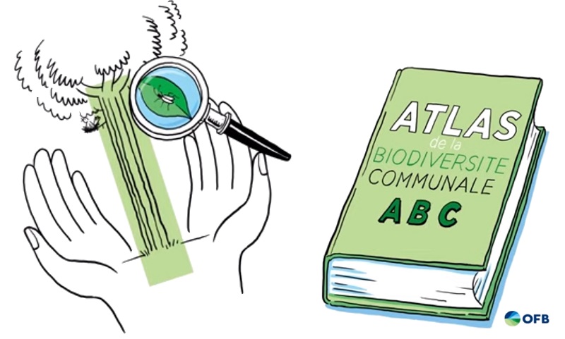 Atlas de la Biodiversité Communale - © OFB