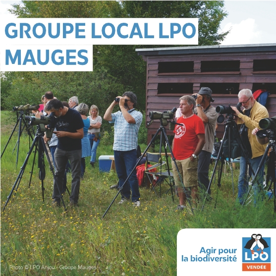 Groupe local LPO Mauges, du secteur de Cholet