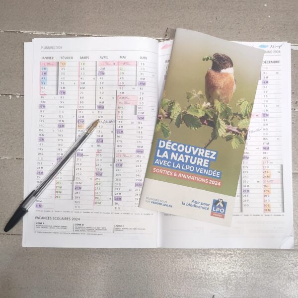 Programme des sorties de la LPO Vendée