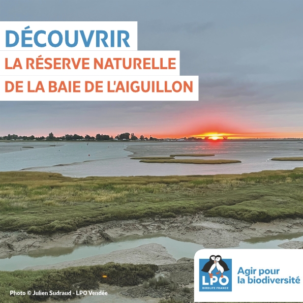 Lpo85 Visuel Carre Rn Baie De L Aiguillon