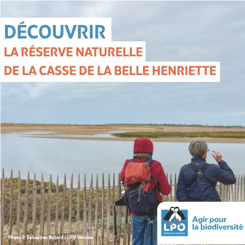 Découvrir la Réserve Naturelle de la Casse de la Belle Henriette avec la LPO