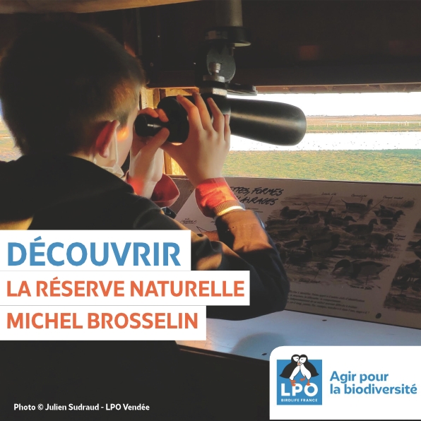 Lpo85 Visuel Carre Rn Michel Brosselin
