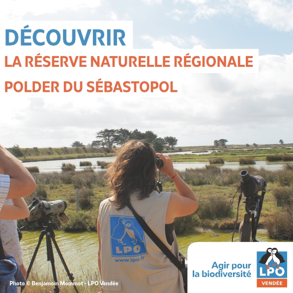 Polder de Sébastopol