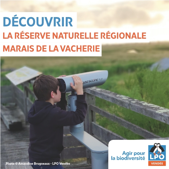 Lpo85 Visuel Carre Rnr Vacherie