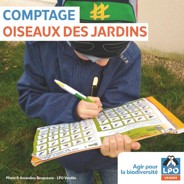 Comptage National des Oiseaux des Jardins