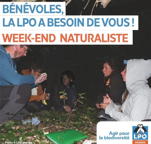 3 week-ends de prospections naturalistes