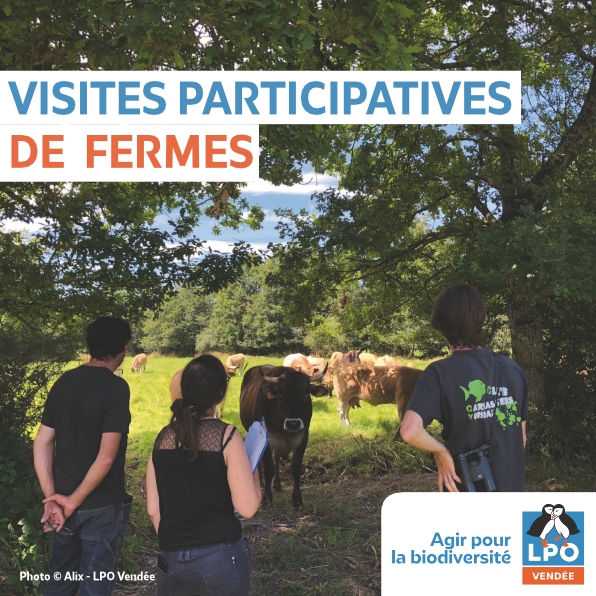 Dialogue Permanent pour la Nature – Visites de fermes (DPN et CPB)