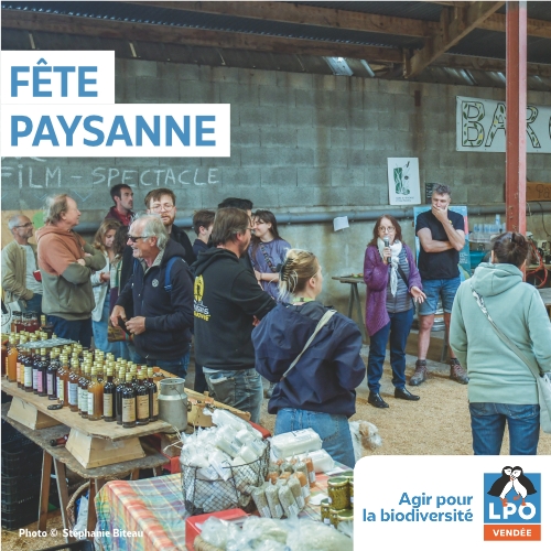 Fête paysanne