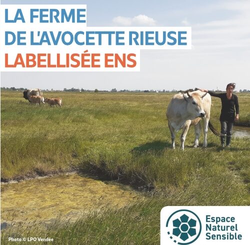 La Ferme de l’Avocette rieuse devient un Espace Naturel Sensible