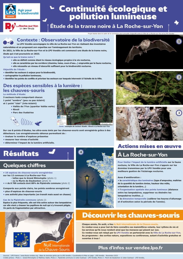 L'étude de la trame noire à La Roche-sur-Yon - Source © LPO Vendée -2024