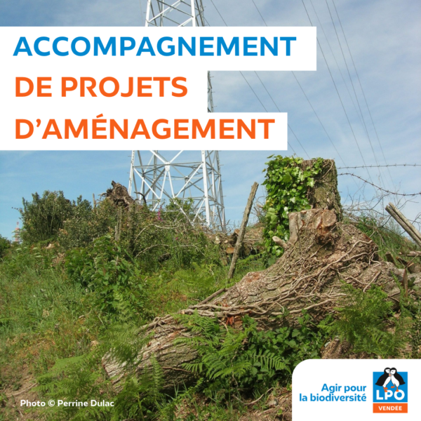 Accompagnement de projets d’aménagement