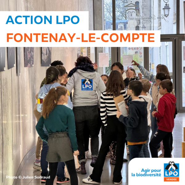 Actions LPO à Fontenay-le-Comte