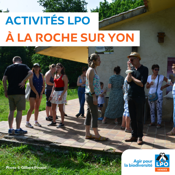 Activités LPO à la Roche-sur-Yon
