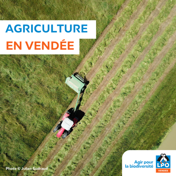 Agriculture