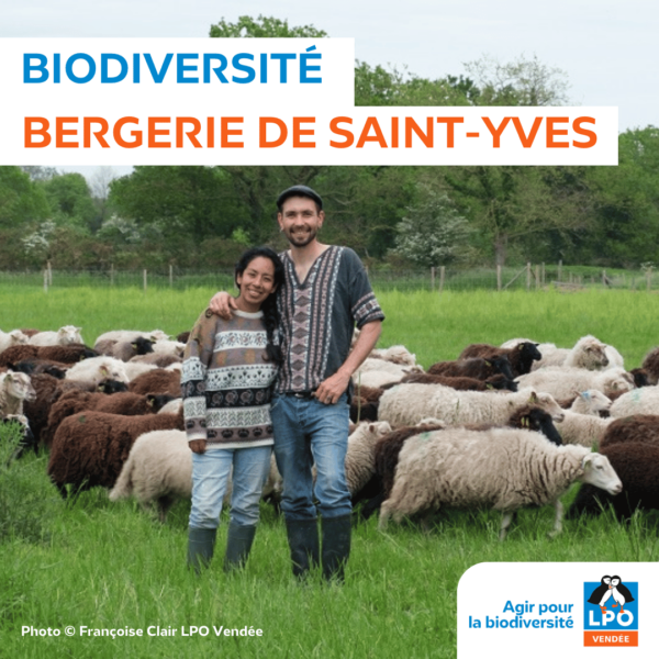 Biodiversité de la Bergerie de Saint-Yves