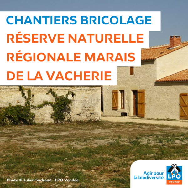 Chantiers bricolage à la Réserve Naturelle Régionale Marais de la Vacherie