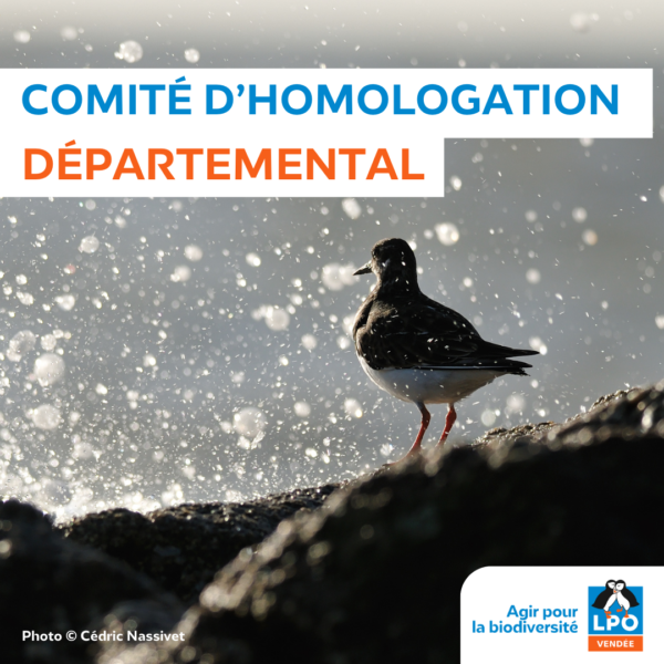 Comité homologation départemental