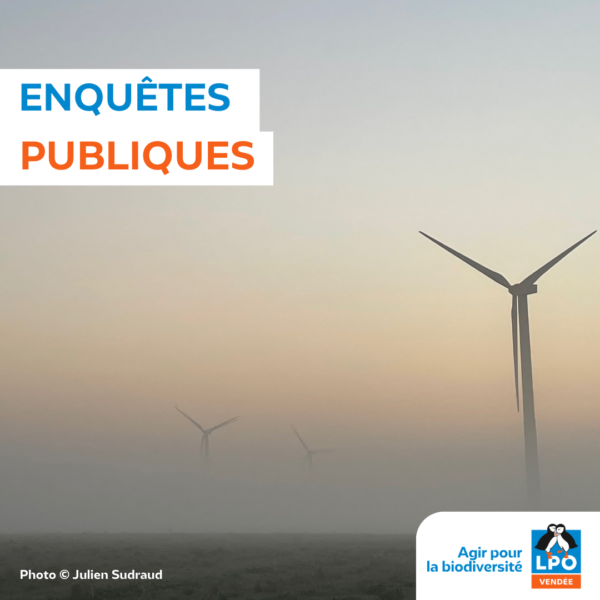 Enquêtes publiques