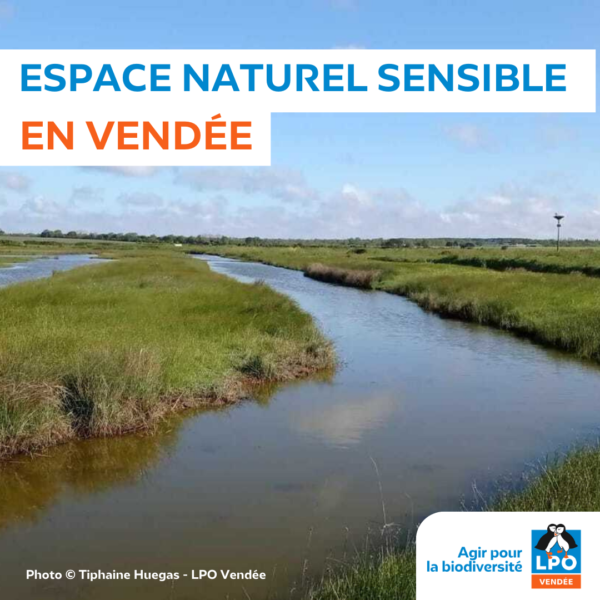 Espaces Naturels Sensibles du Département de la Vendée (ENS)
