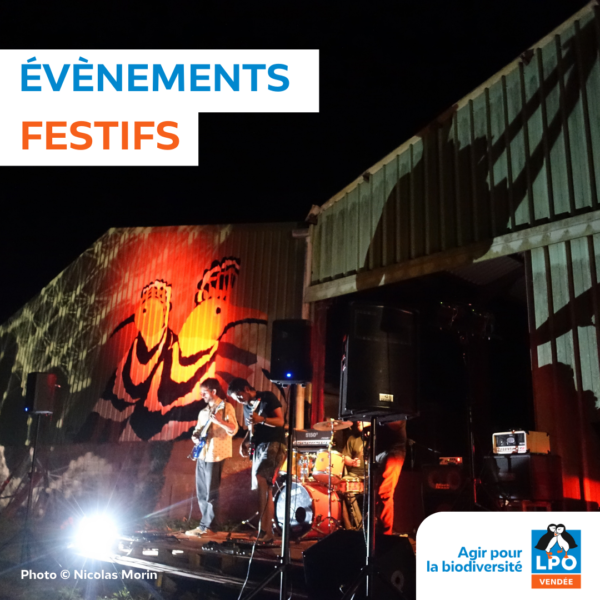 Évènements festifs