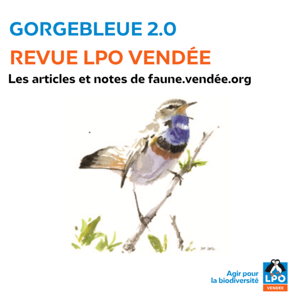 Gorgebleue (revue de la LPO Vendée)